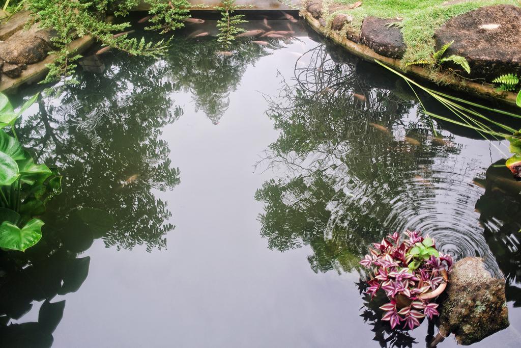Harmony Valley Retreat Bukit Tinggi Exterior foto